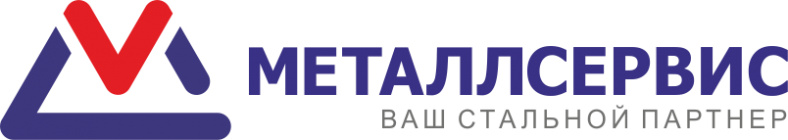 logo-MetalServise